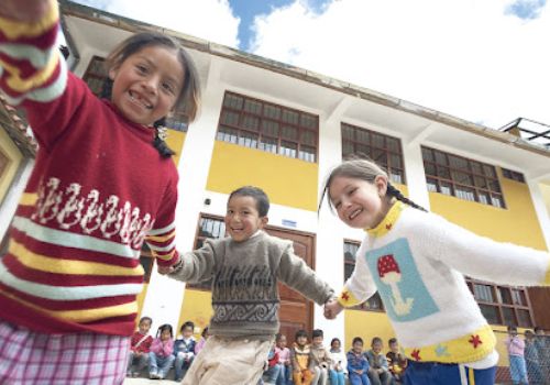 Reforestación Participativa: Más de 1,000 Árboles Plantados en un Solo Día